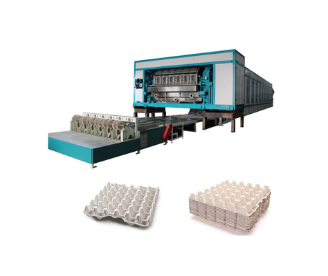 Machine de production de plateaux à œufs 5000-7000 pièces/h avec ligne de séchage multi