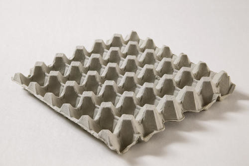Machine moulée de papier écologique pour faire le fruit Tray Coffee Cup Tray de carton d'oeufs