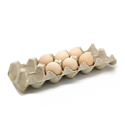 Machine moulée de papier écologique pour faire le fruit Tray Coffee Cup Tray de carton d'oeufs