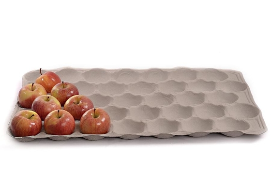 Machine moulée de papier écologique pour faire le fruit Tray Coffee Cup Tray de carton d'oeufs