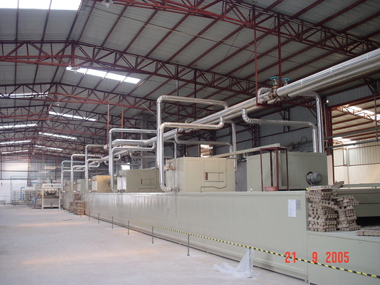 Ligne complètement automatique de Tray Machine Egg Packaging Drying d'oeufs