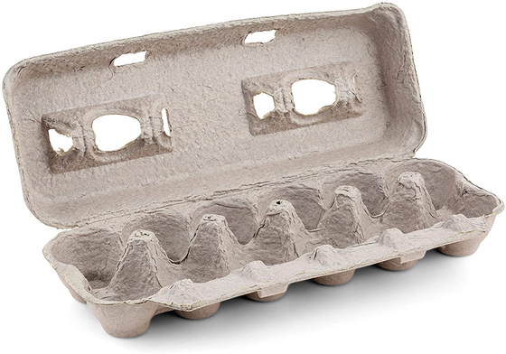 machine libre de fibre de pulpe de la pollution 1000pcs/hr pour produire la boîte à oeufs