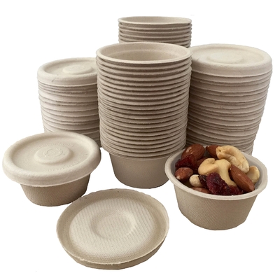 Machine de bâti biodégradable automatisée de pulpe de bagasse de canne à sucre avec le double manipulateur de marche horizontal