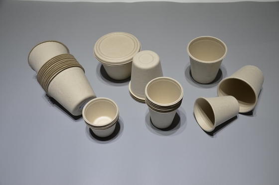 Machine de bâti biodégradable automatisée de pulpe de bagasse de canne à sucre avec le double manipulateur de marche horizontal