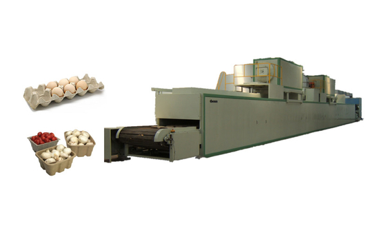 Ligne complètement automatique de Tray Machine Egg Packaging Drying d'oeufs