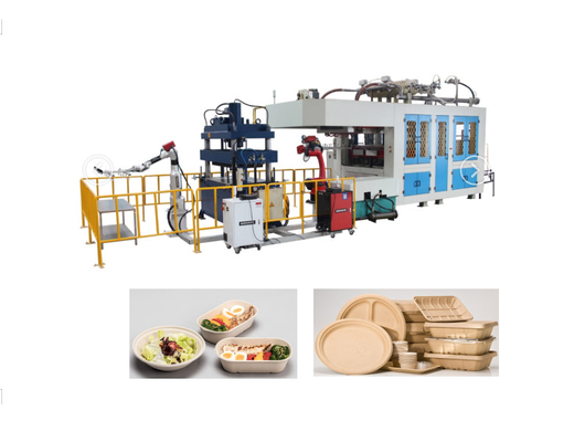 Machines de moulage de pâte de papier biodégradable Contenant alimentaire jetable Garantie d'un an