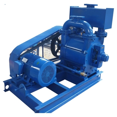 Pompe à vide à eau à anneau liquide électrique