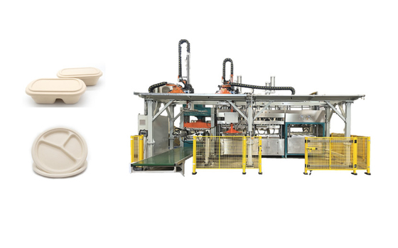 Déjeuner biodégradable Tray Pulp Molded Production Machine