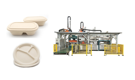 Nourriture complètement automatique de pâte de bois servant Tray Production Line