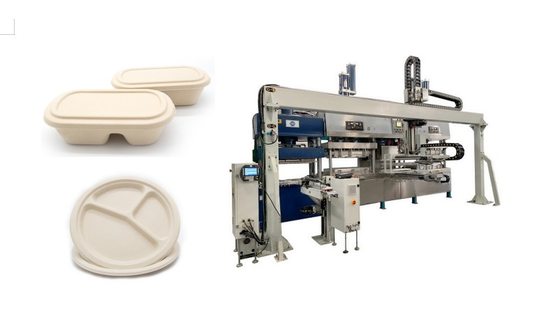 Aliments de préparation rapide jetables viables Tray Machine de canne à sucre de pulpe automatique de bagasse