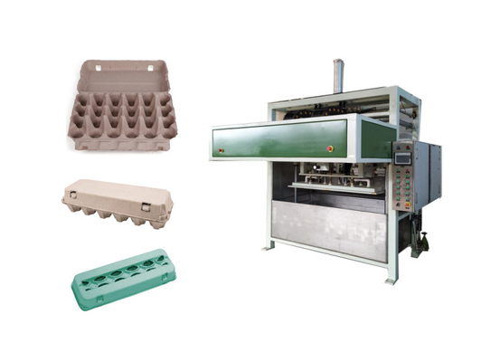 Chaîne de production de carton d'oeufs avec la tuyauterie d'aspersion à une seule couche et la machine chaude de presse
