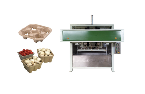 Machine moulée de papier écologique pour faire le fruit Tray Coffee Cup Tray de carton d'oeufs