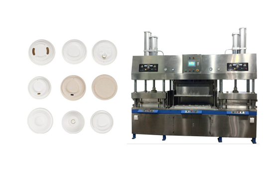 Machine de boîtes à coquilles de pâte moulée efficace avec contrôle PLC