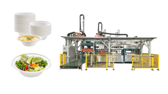 Machine de conditionnement de dîner jetable de moulage de pulpe