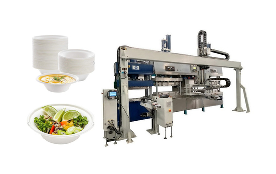 Machine de vaisselle en fibre de pâte renouvelable