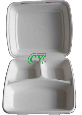Machine compostable manuelle de presse de Tray Dry In Mold Wet de canne à sucre de machines de bâti de pulpe de papier de PLC