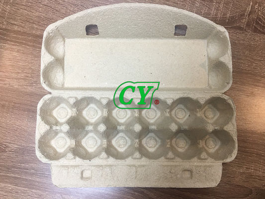 Protection de l'environnement chaude de presse à mouler de pulpe de papier de carton d'oeufs 20 tonnes