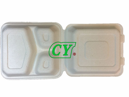 Pâte de bois biodégradable de pulpe de Vierge de machine de gamelle de bloc supérieur de bagasse de canne à sucre