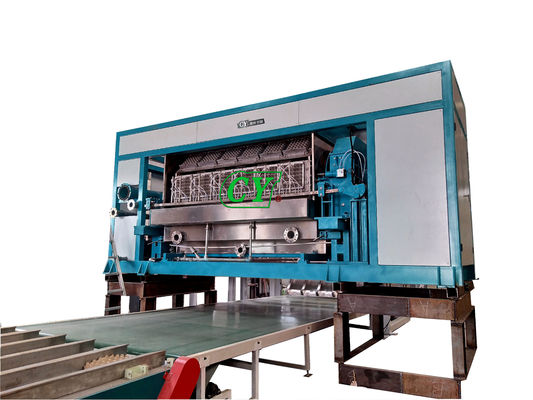 Machine de formage de plateaux à œufs à commande PLC avec ligne de séchage multi