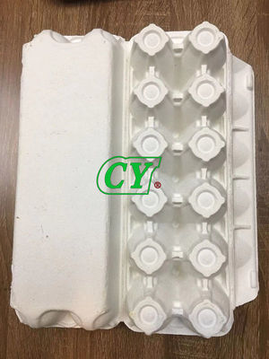 Oeuf moulé biodégradable Tray Recycle Egg Box de pulpe de produits de pulpe de papier