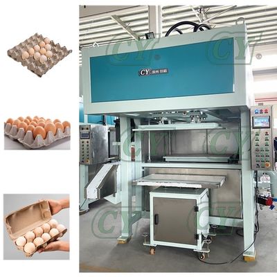 Chaîne de production moulée par pulpe automatique de machine de carton d'oeufs de machine de plateau d'oeufs