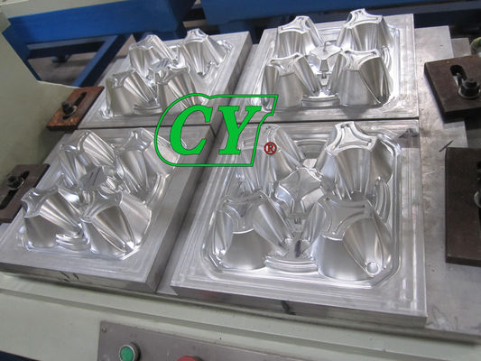 Moule recyclable de carton d'oeufs d'OEM pour l'oeuf Tray Machine de pulpe de papier